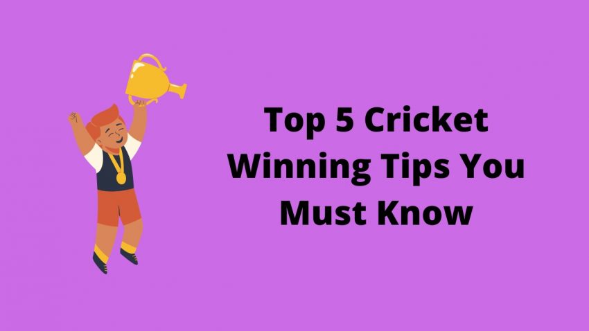 Top 5 Cricket Winning Tips You Must Know