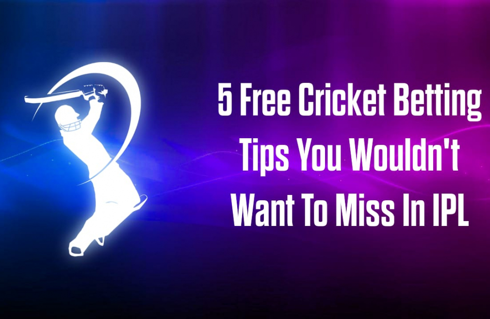 5 Free Cricket Betting Tips You Wouldn't Want To Miss In IPL