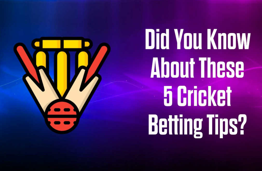 Did You Know About These 5 Cricket Betting Tips