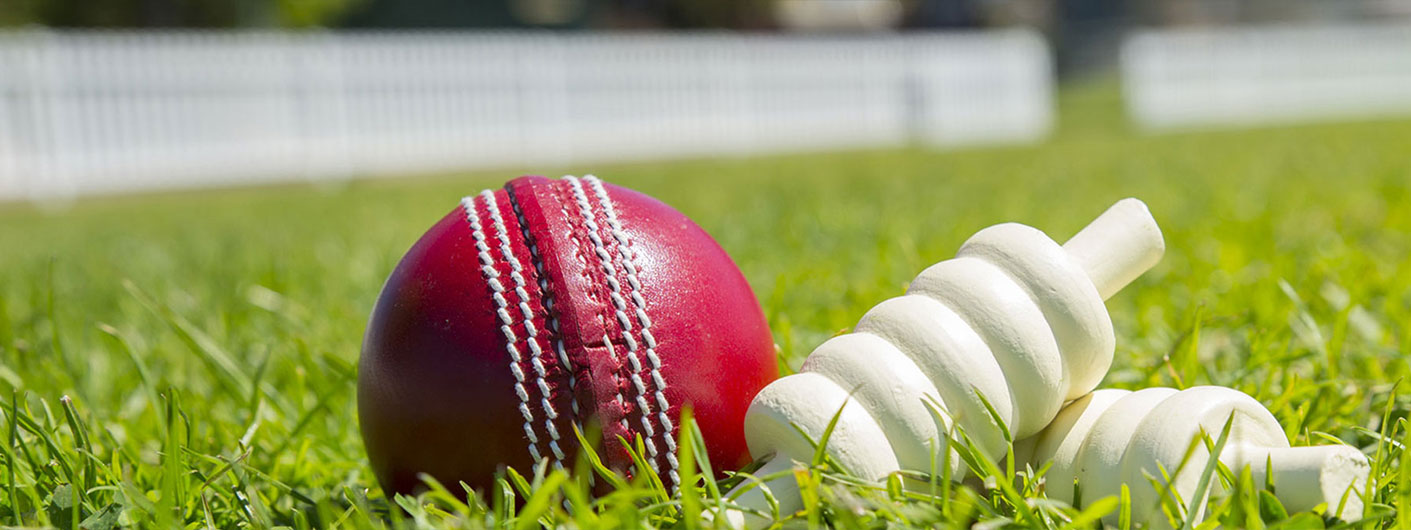 The Ultimate Cricket Betting Guide: Free Cricket Betting Tips - See ...