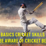 Basics Cricket Skills You Must be Aware Of — Cricket Betting Tips  | CBTF Tips