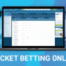 Surprising Facts of Cricket Betting Online  | CBTF Tips